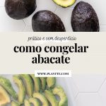 abacates para congelar