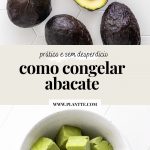 abacates para congelar