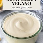 pote de sour cream vegano de castanha