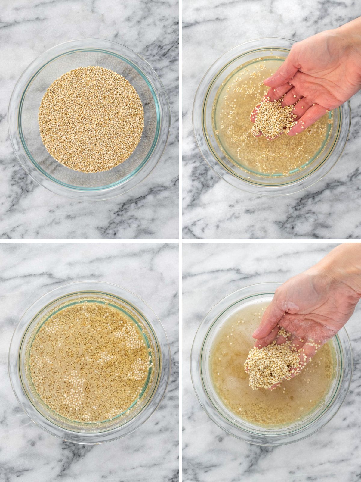 Quinoa branca em grãos coberta com água para fazer seu demolho.