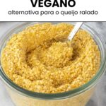 colher sendo retirada de pote com queijo parmesão vegano