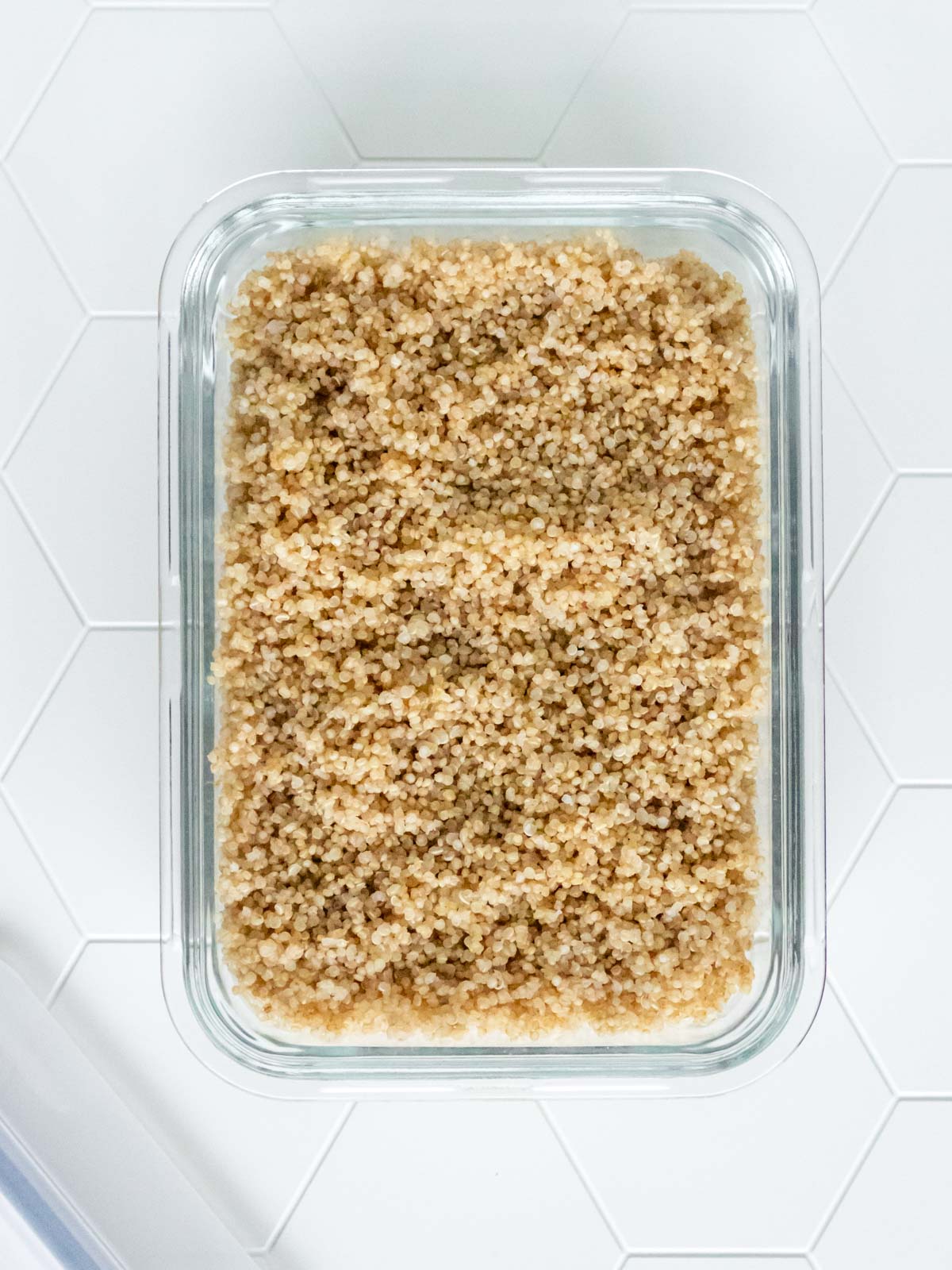 quinoa cozida armazenada em um pote retangular